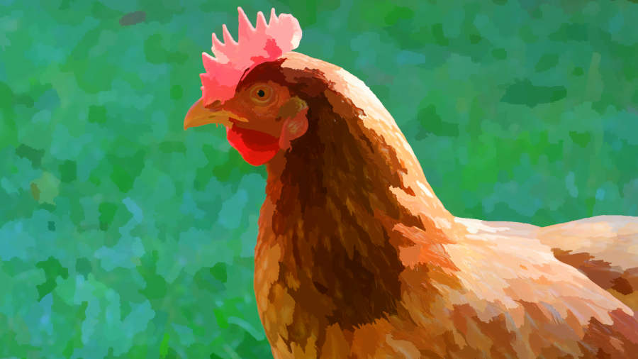 Grey Castle Where the Giant lives