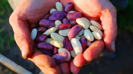 Jack holding the colorful magic beans